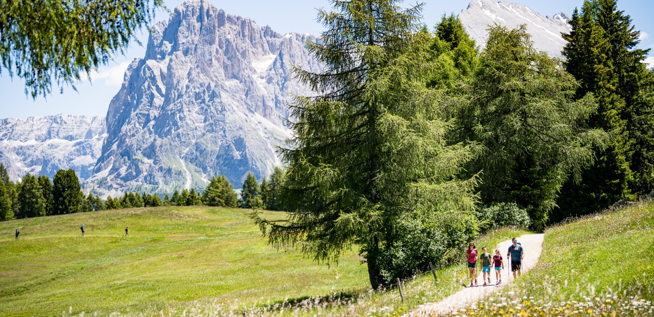 Sommer bei Alpin Sports